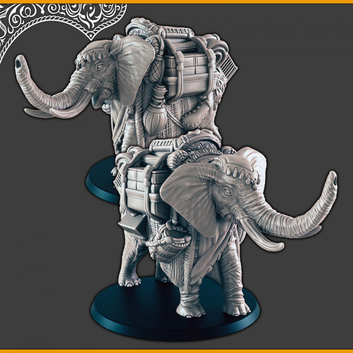 Arabian Elephant