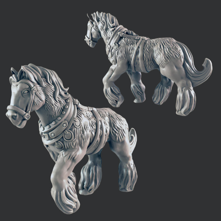 Draft Horse