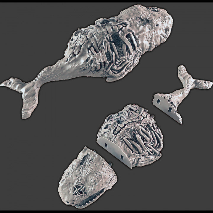 Whale Corpse