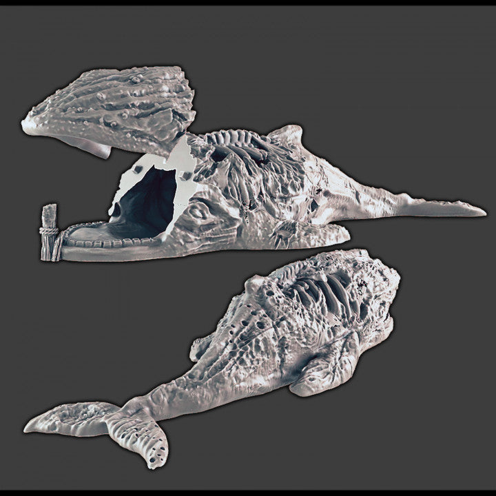 Whale Hag Lair