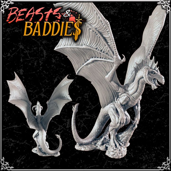 Baby Black Dragon