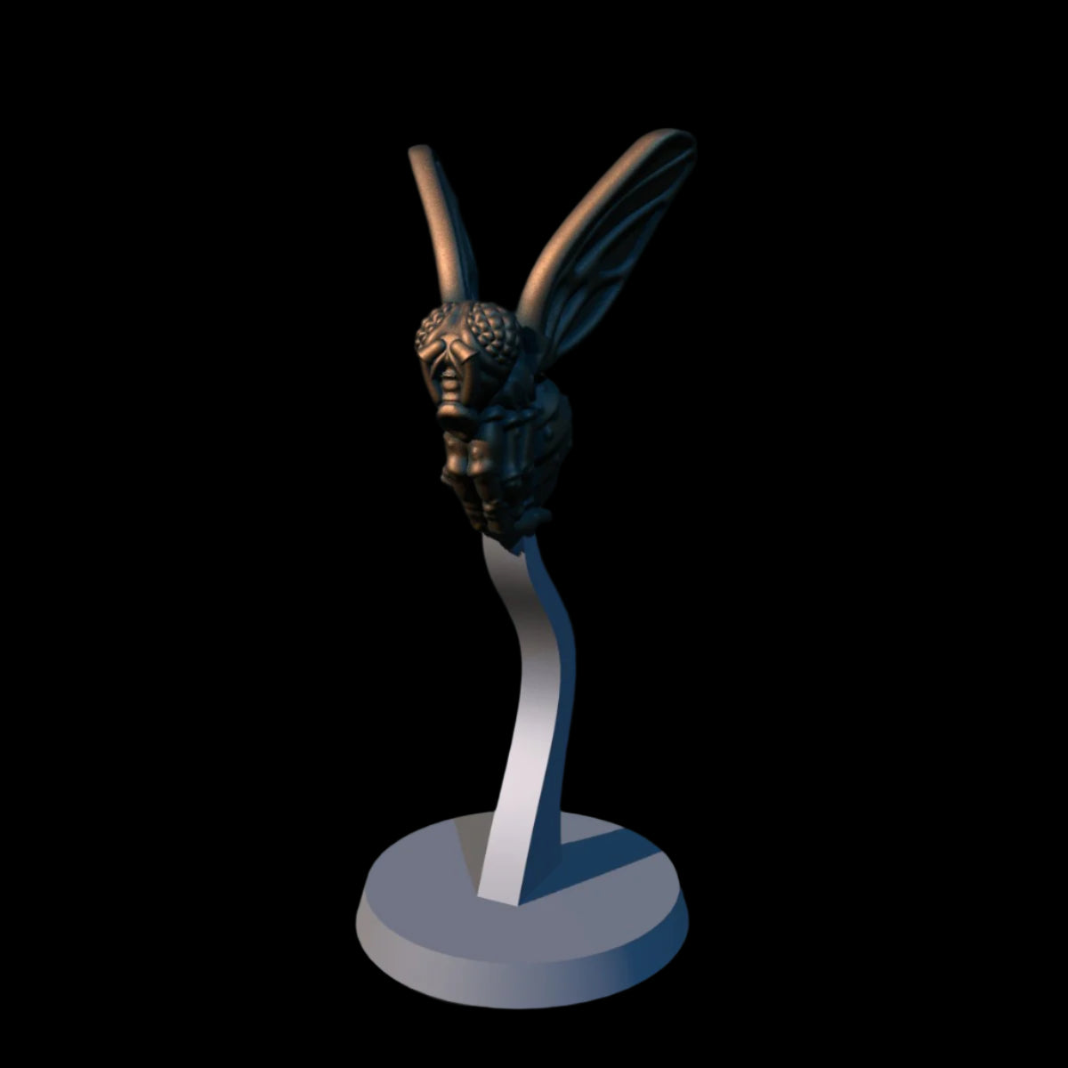 Fly