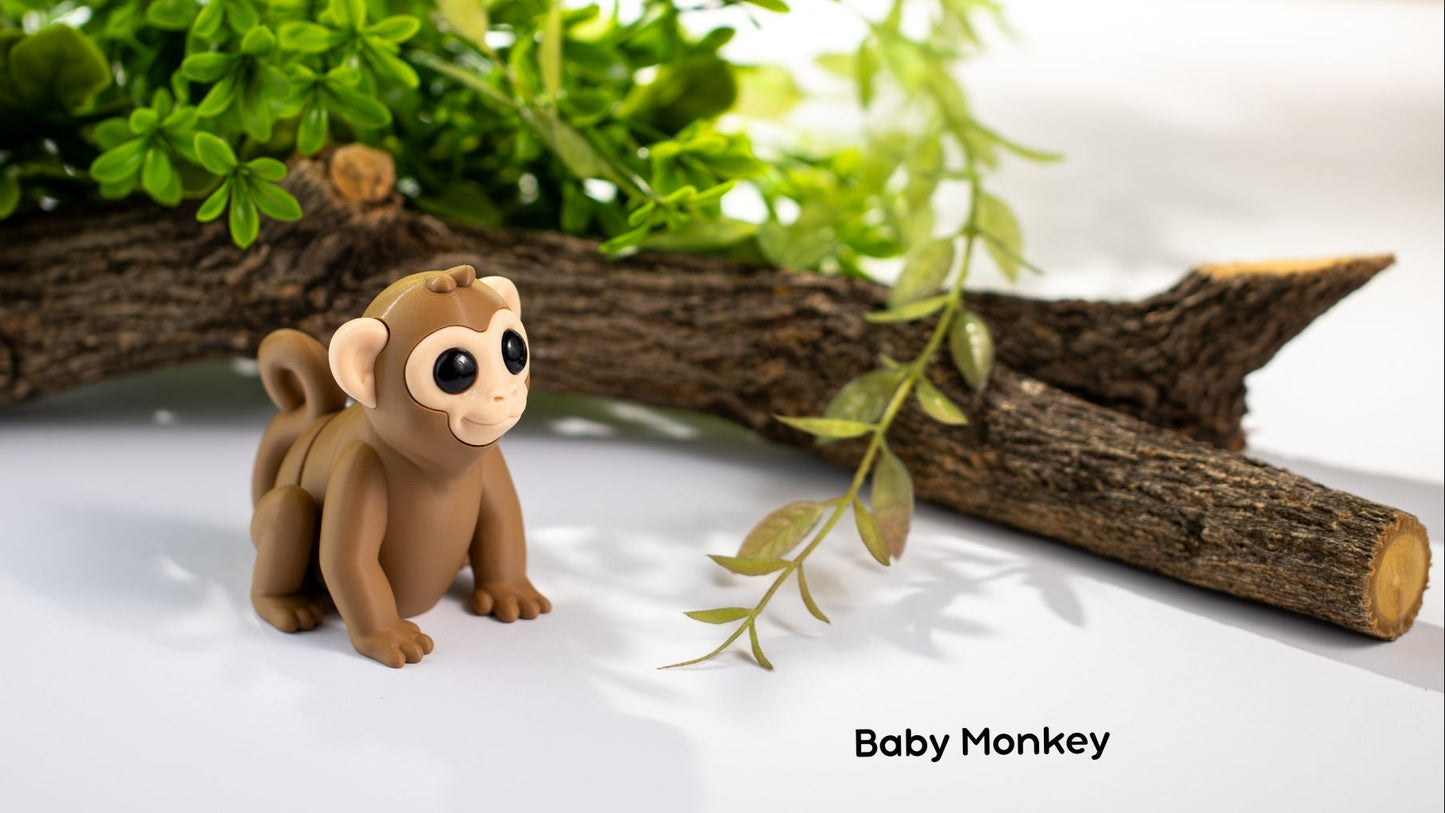 Baby Monkey