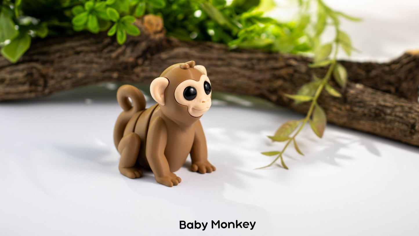 Baby Monkey
