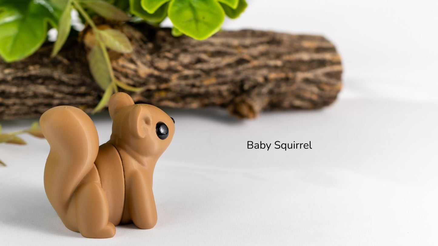Baby Squirrel