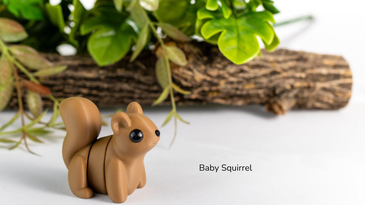 Baby Squirrel