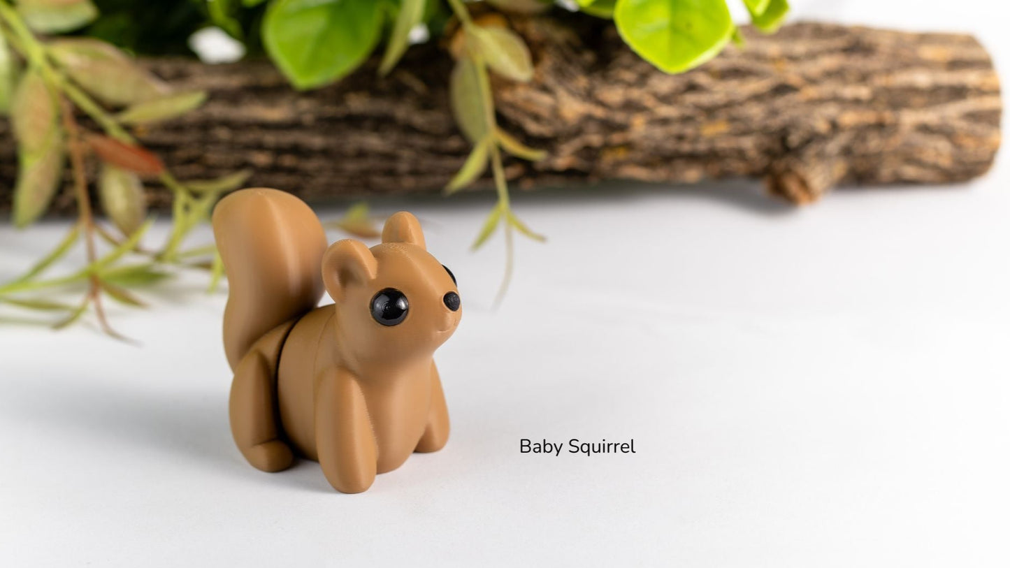 Baby Squirrel