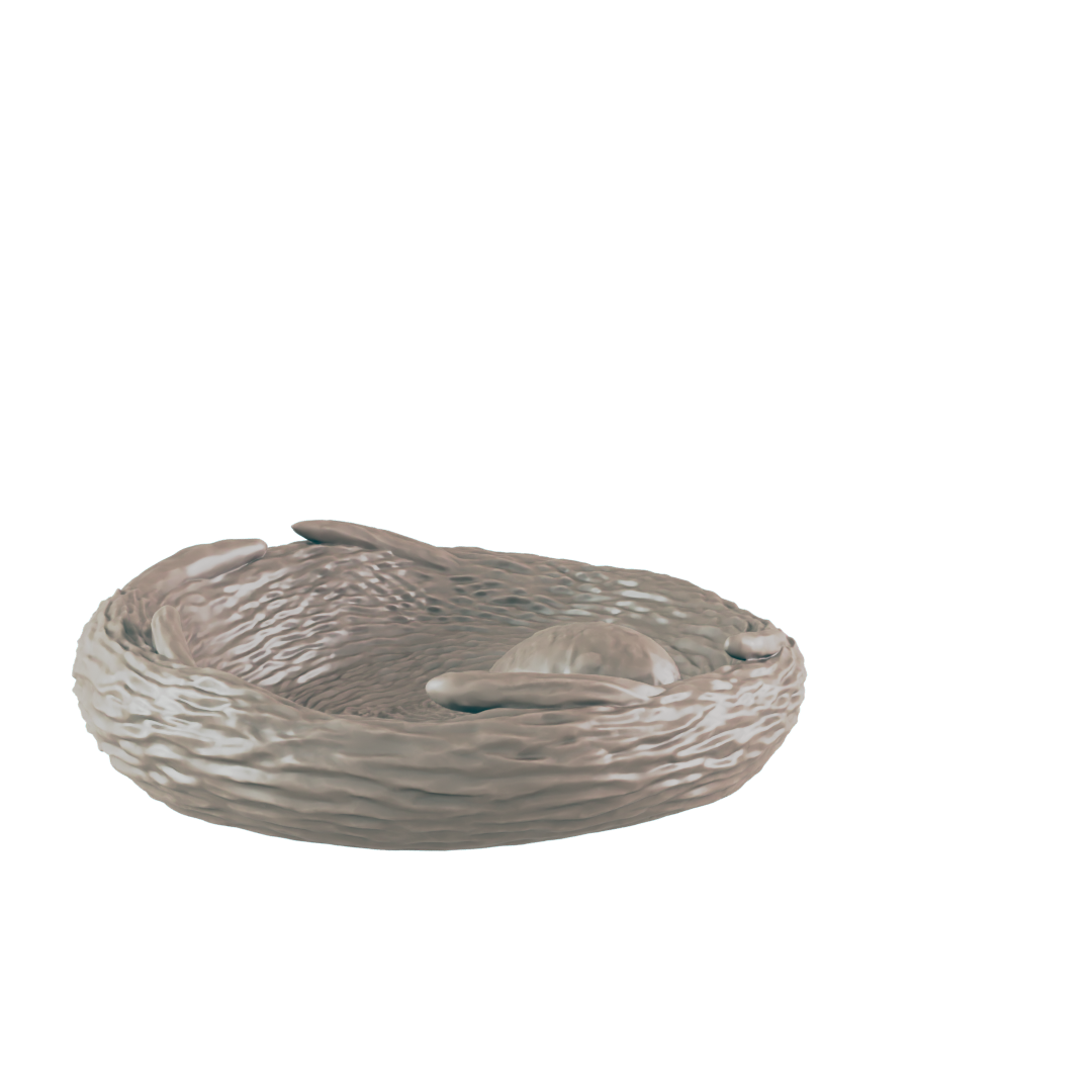 A sleeping creature, possibly a mammal, rests curled in a stylized, hollow, beige-toned shape that might resemble a nest or dish, set against a stark black background.