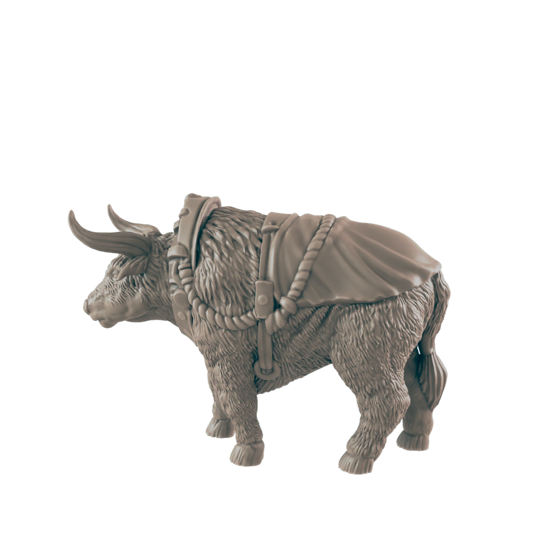 A hairy yak stands, wearing a saddle and harness, against a plain background.