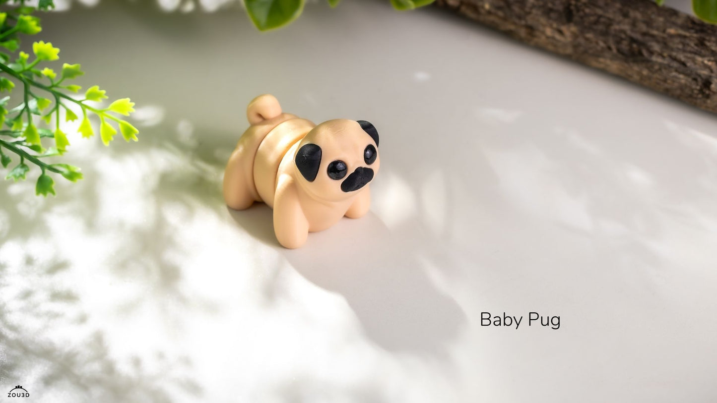 Baby Pug