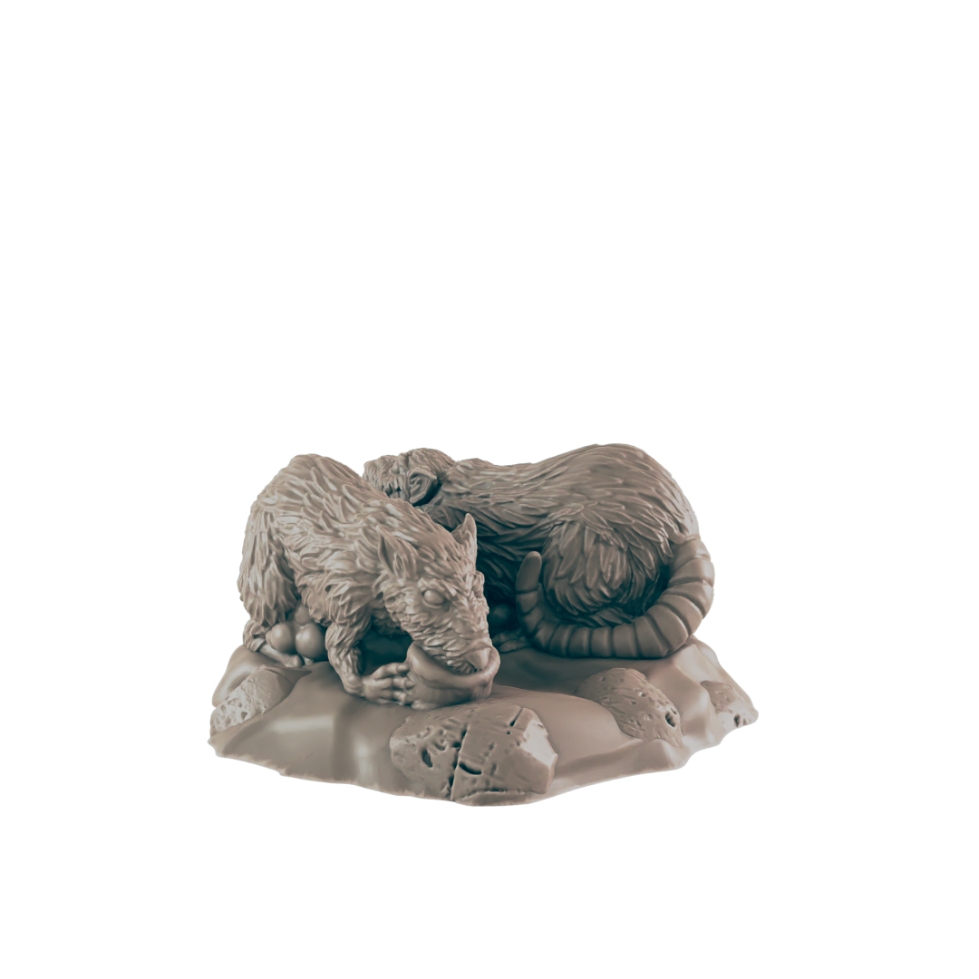 Two rats consume food from a small bowl on a rocky surface.