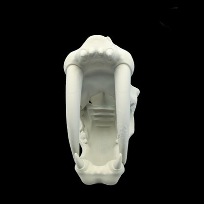 Sabertooth Skull Dice Tower