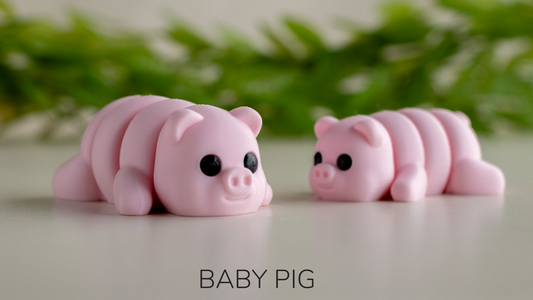 Baby Pig