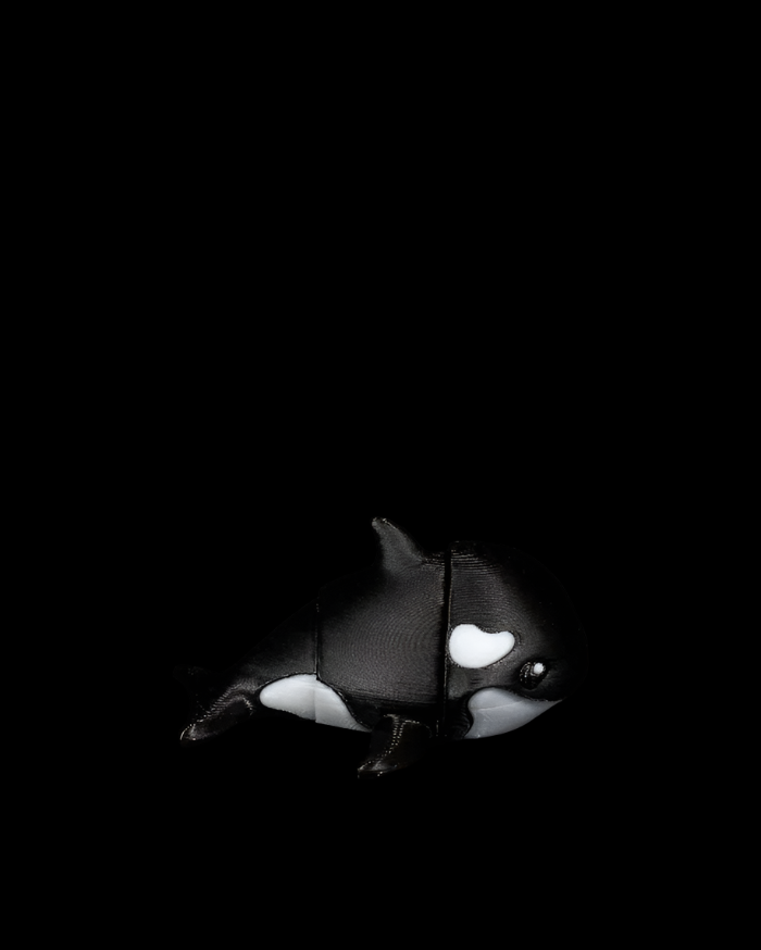 Tiny Orca