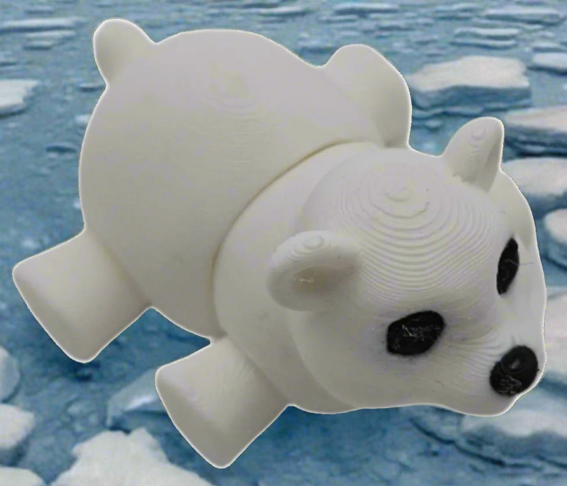 Baby Polar Bear