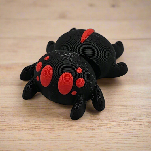 Baby Spider