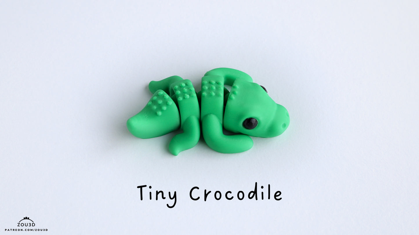 Tiny Baby Crocodile