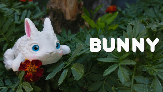 Bunny