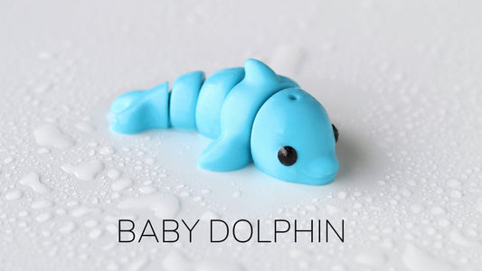 Baby Dolphin