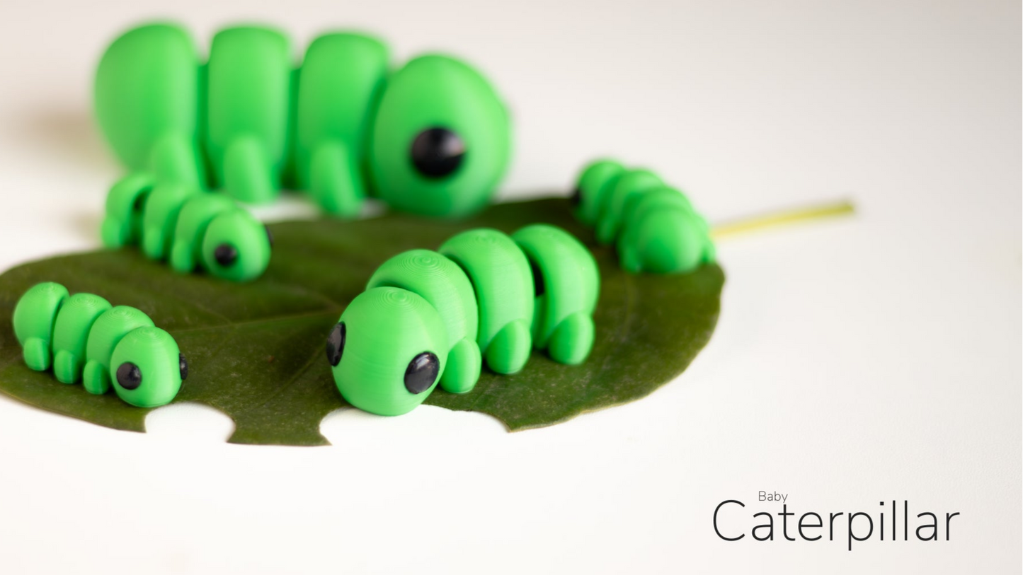 Baby Caterpillar