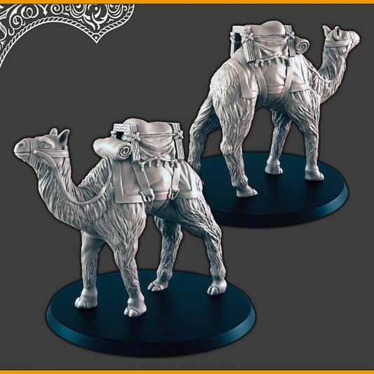 Standing Saddled Camel