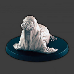 Walrus