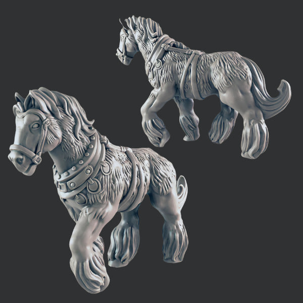 Draft Horse