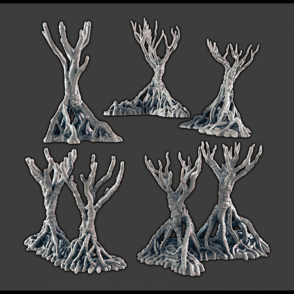 Mangrove Trees