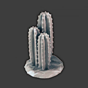 Desert Cactus 3