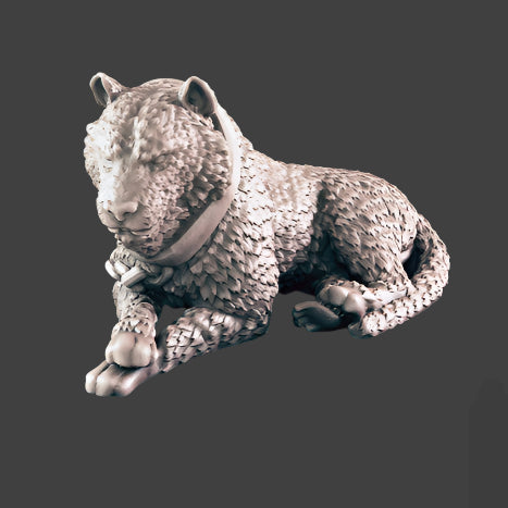 Chained Tiger 1