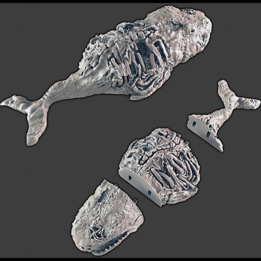Whale Corpse