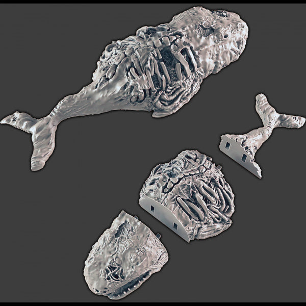Whale Corpse