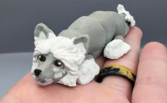 Chinese Crested Dog
