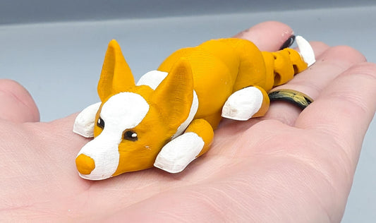 Ibizan Hound