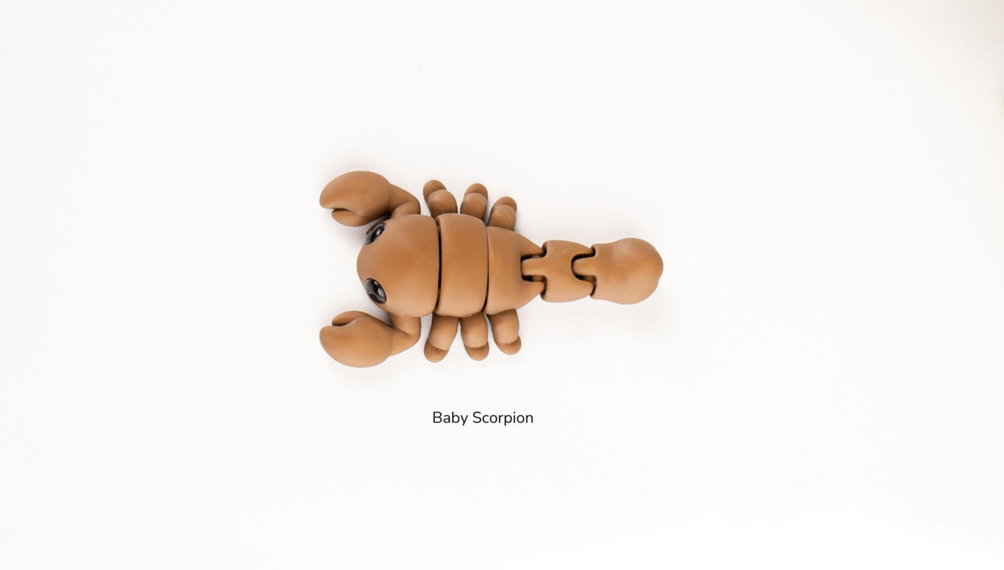 Baby Scorpion