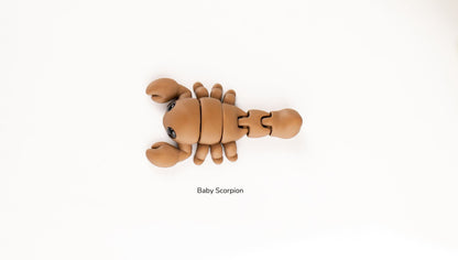 Baby Scorpion