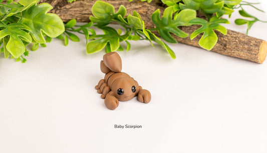 Baby Scorpion
