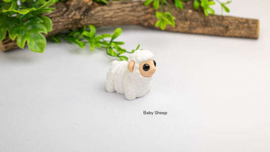 Baby Sheep