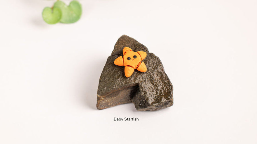 Baby Starfish