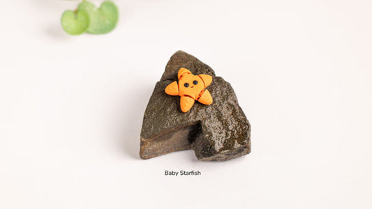 Baby Starfish
