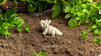 Baby Triceratops Skeleton