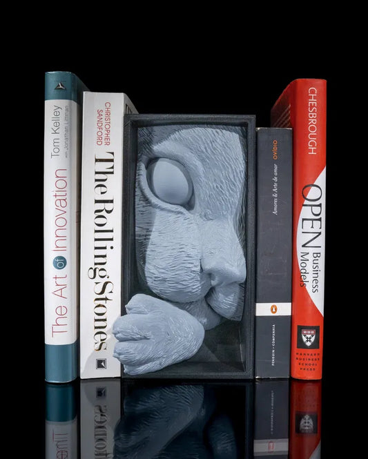 Cat’s Curiosity Book Nook