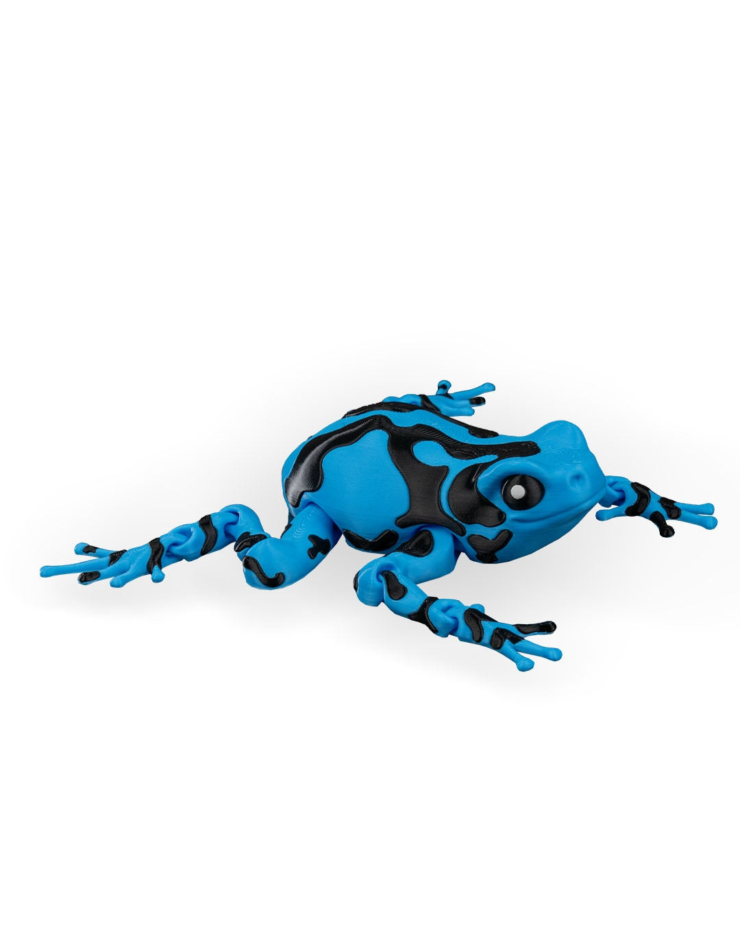 Darcy the Poison Dart Frog