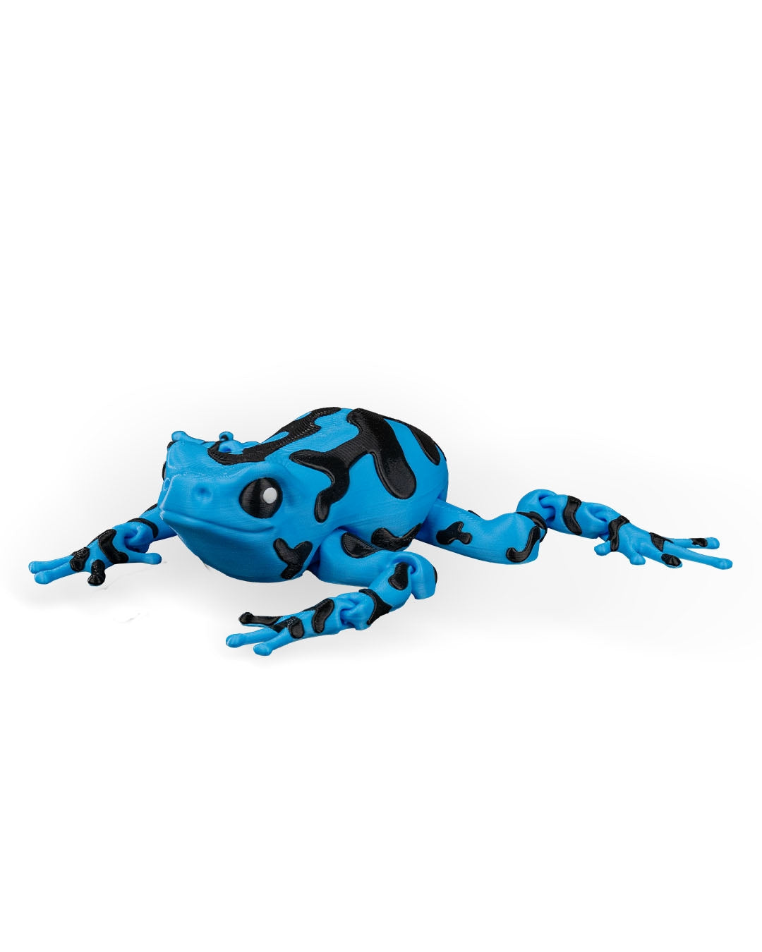 Darcy the Poison Dart Frog