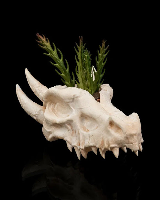 Deathroot Planter