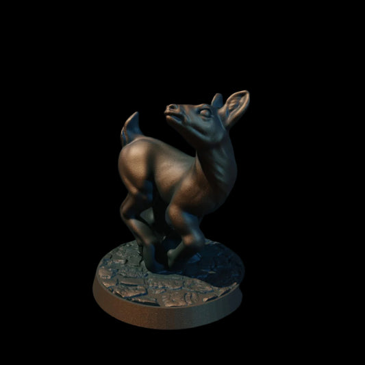 Doe