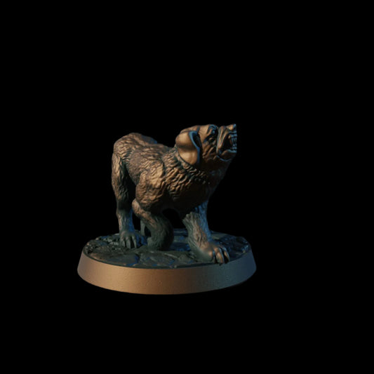 Dog Mongrel