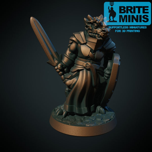 Dragonborn Paladin - 3D Printed Miniature, D&D, TTRPG