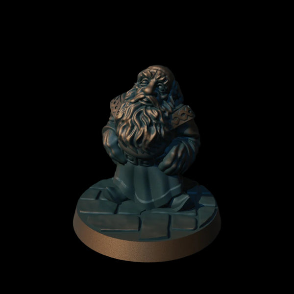Dwarf Noble