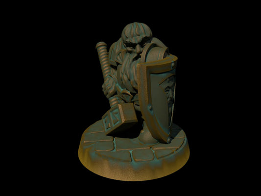 Dwarf Paladin